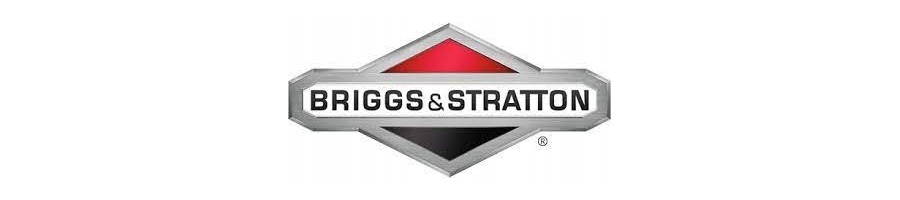 Części Briggs&Stratton